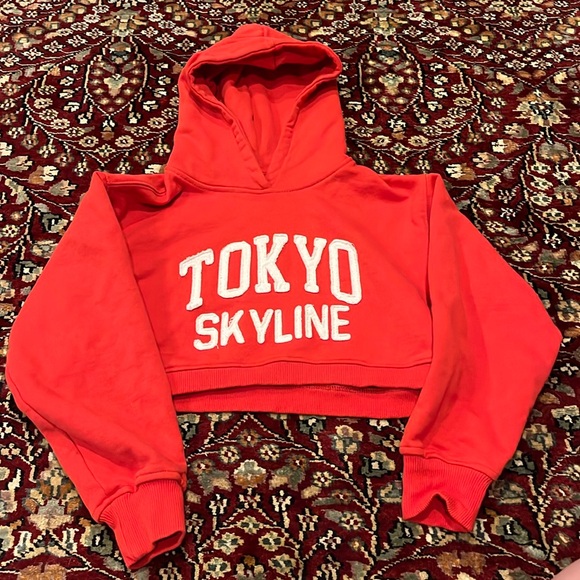 ZARA Embroidered Cropped Hoodie - Picture 1 of 8